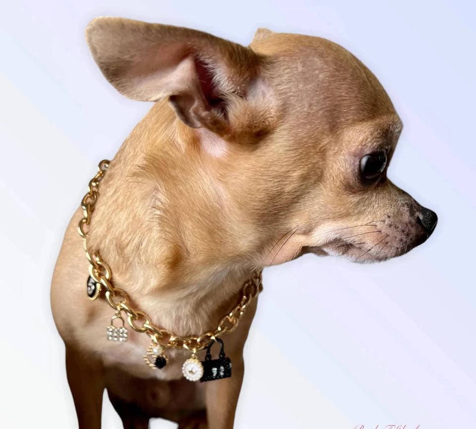 My Dainty Charm Necklace - Pets Perfect