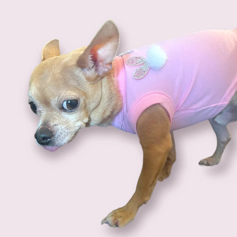 My Fuzzy Easter Bunny Dog Shirt by Bark Fifth Avenue - Pets Perfect