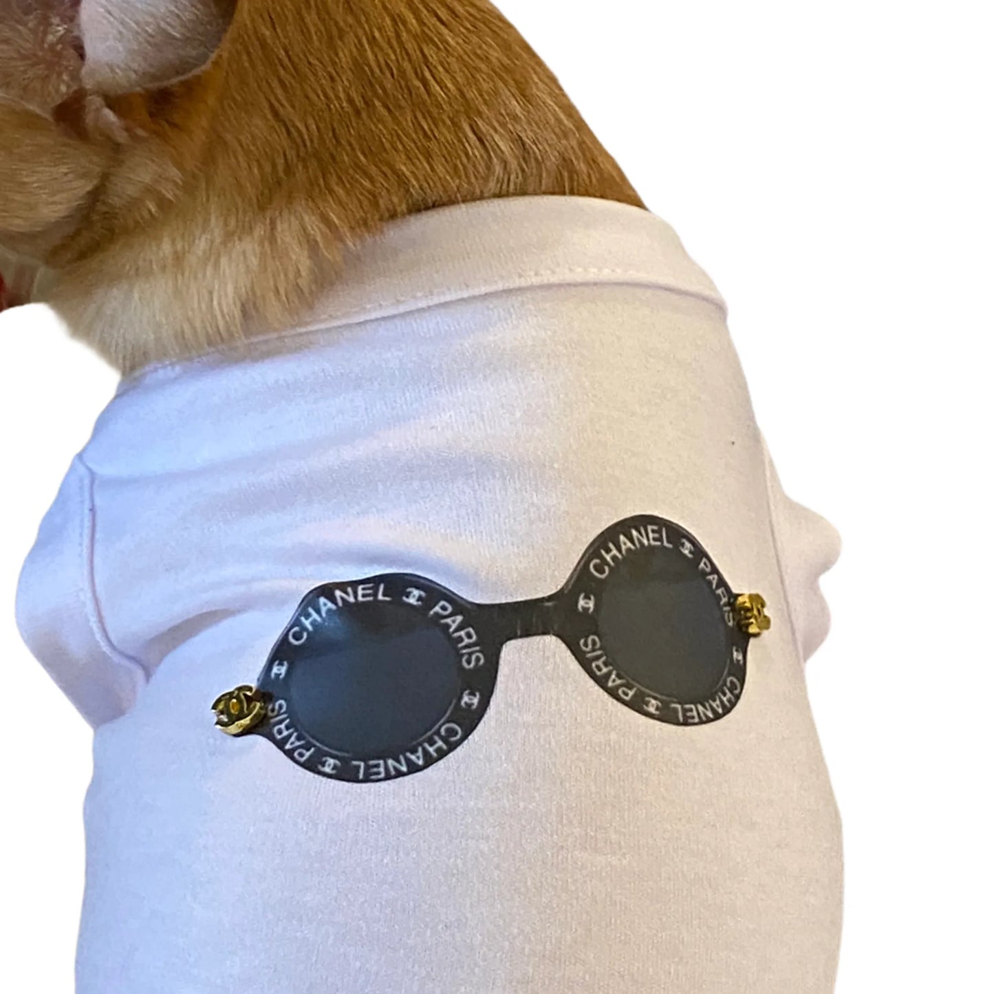 My Summer CC Sunnies Dog Shirt