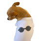 My Summer CC Sunnies Dog Shirt
