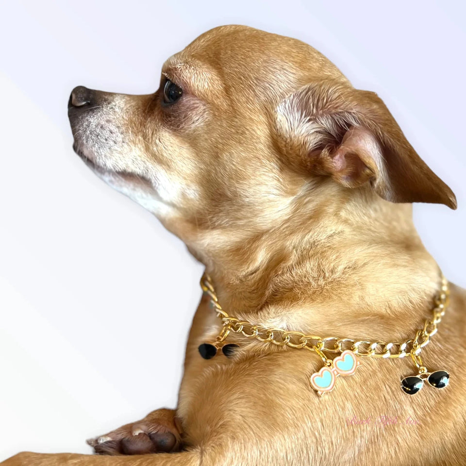 My Summertime Aviator Charm Toggle Necklace - Pets Perfect