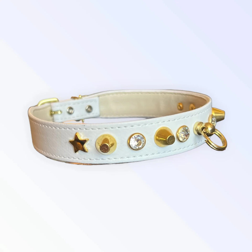 Popstar Studded Dog Collar - Pets Perfect