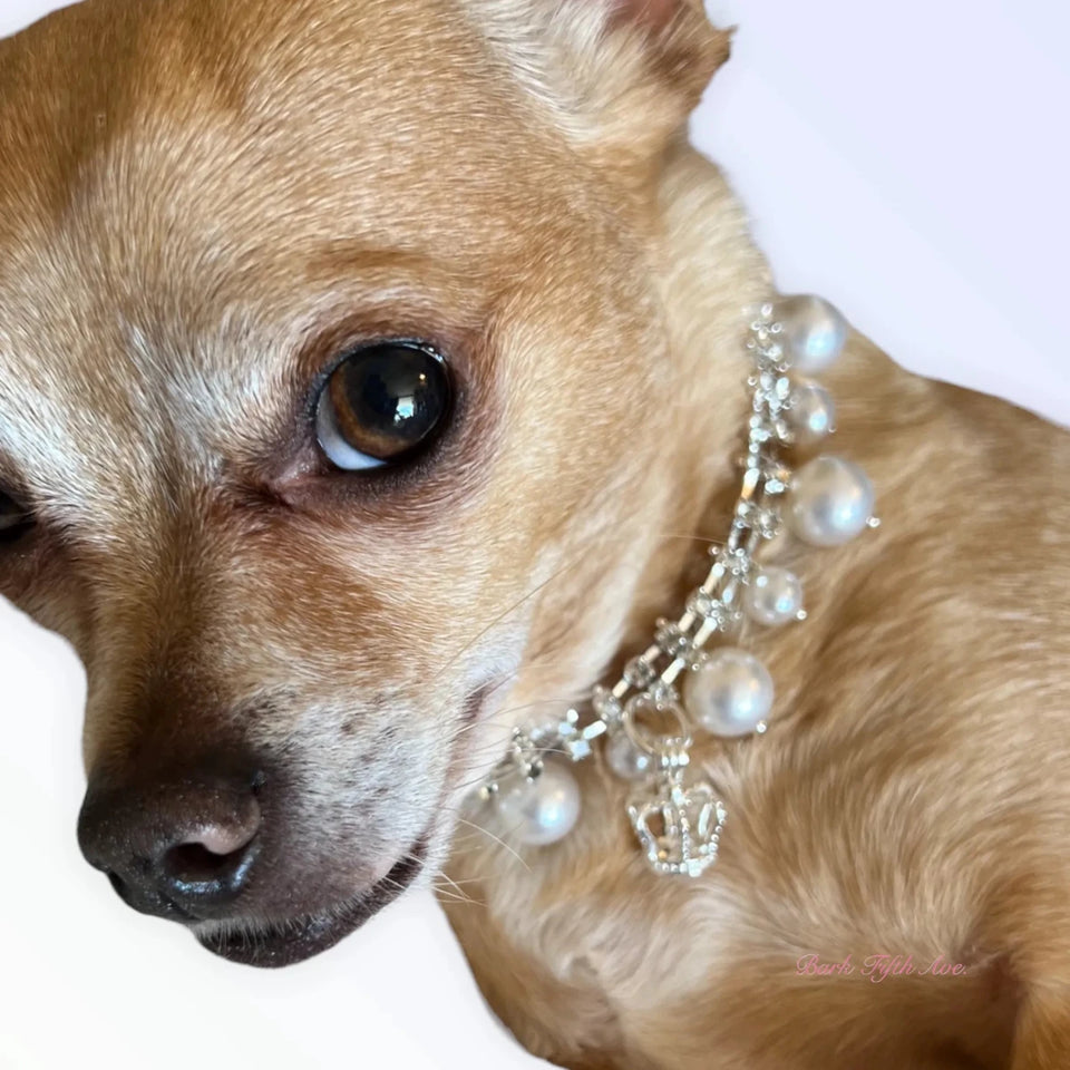 Rhinestone & Pearl Crown Necklace - Pets Perfect