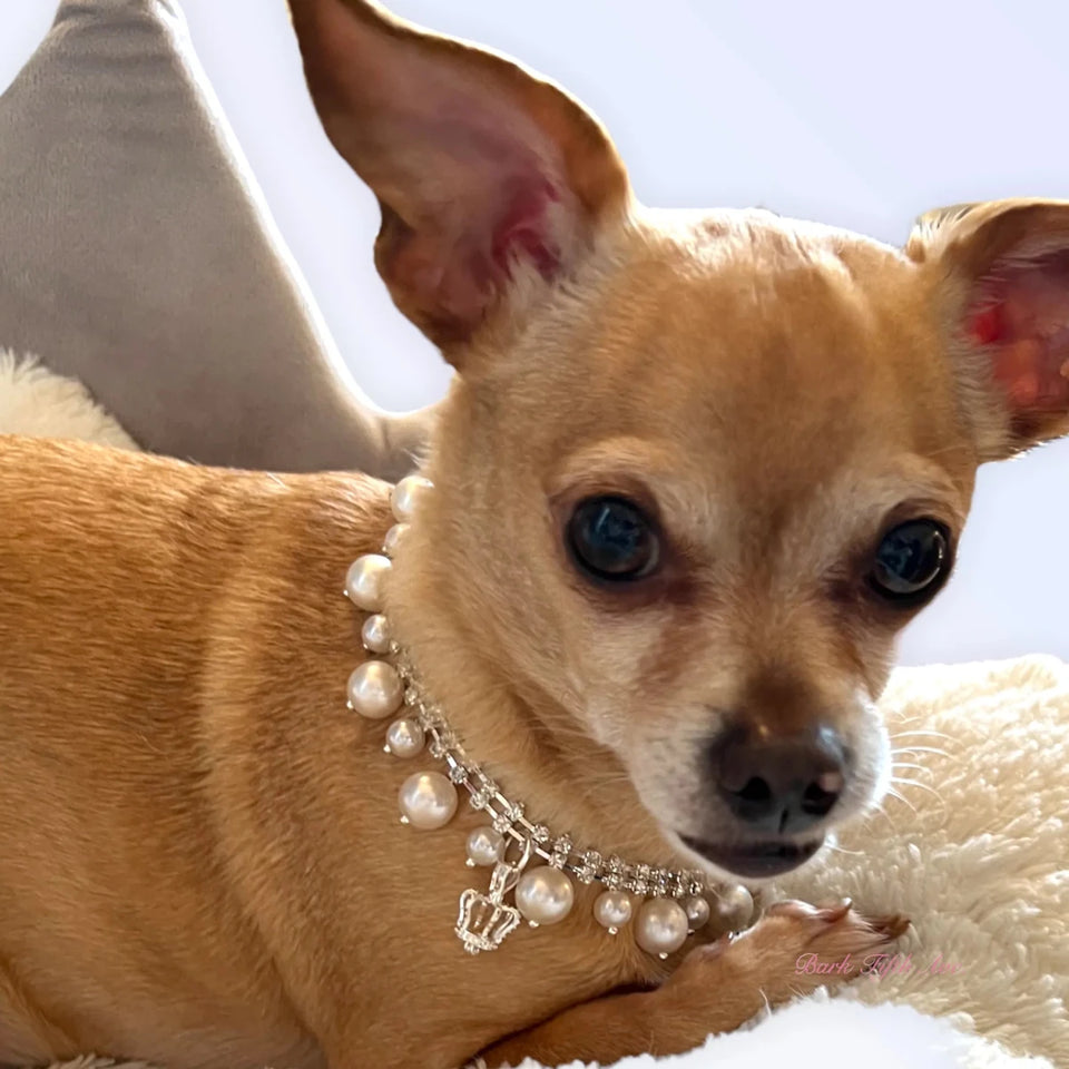 Rhinestone & Pearl Crown Necklace - Pets Perfect