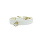 Azure CC Collar in white leather with gold-tone hardware, suitable for stylish dog supplies from a trusted online pet store.
