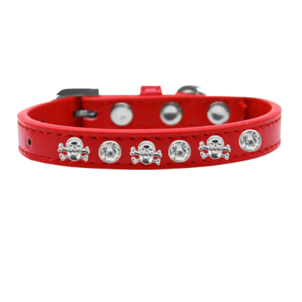 Skull Studded Dog Collar - Pets Perfect
