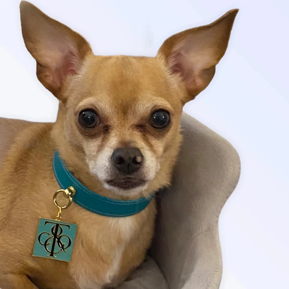 Sniff & Co. NYC Logo Dog Collar - Pets Perfect