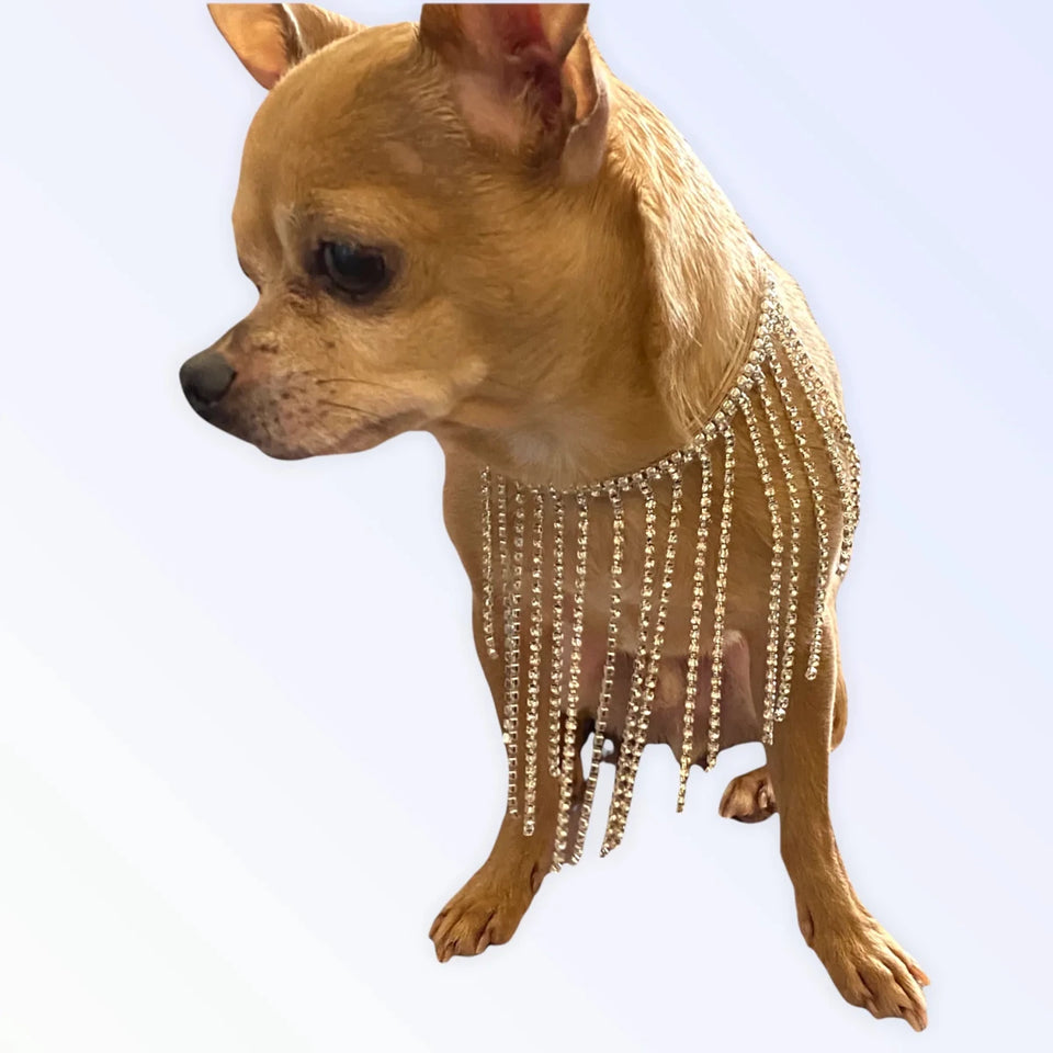 Bark Fifth Avenue The Starlet Dog Harness - Pets Perfect