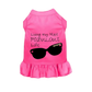 Tom Fido Dog Tee and Dress by Bark Fifth Avenue