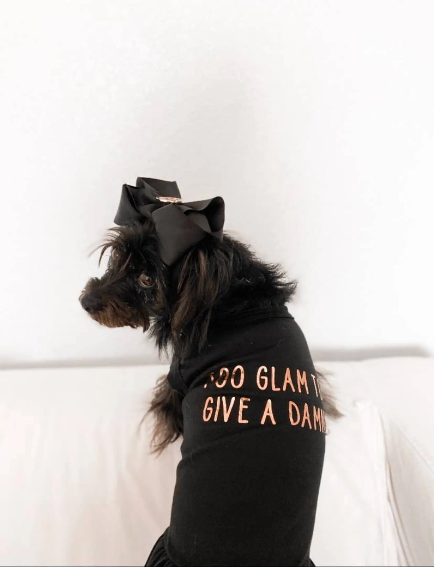 Too Glam to Give a Damn Dog Tee and Dress by Bark Fifth Avenue