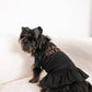 Too Glam to Give a Damn Dog Tee and Dress by Bark Fifth Avenue