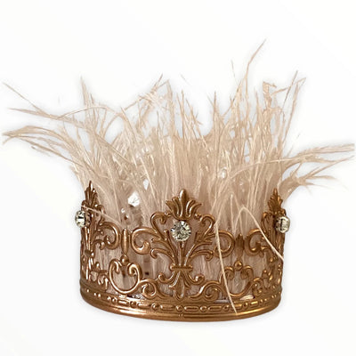 Zsa Zsa Glamour Girl Crown for Dogs by Bark Fifth Avenue - Pets Perfect