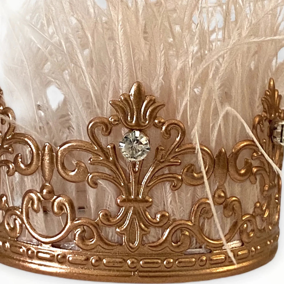 Zsa Zsa Glamour Girl Crown for Dogs by Bark Fifth Avenue - Pets Perfect