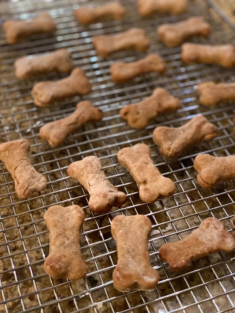 Fabulous Gourmet Peanut Butter Dog Treats - Pets Perfect