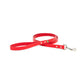 Red dog leash with metal clasp and small gold bee detail, Bee Mine Dog Leash for stylish pet supplies.