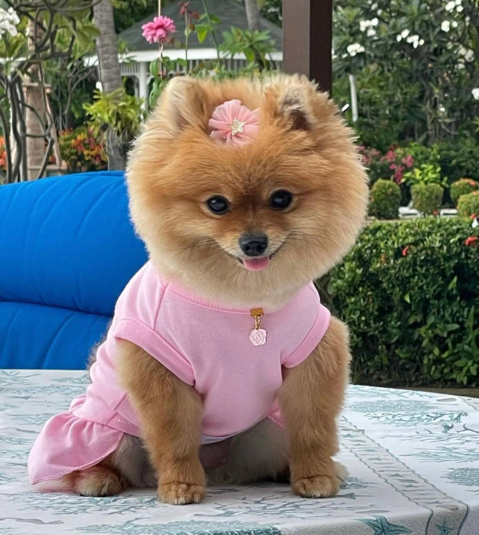 Cameilla Casual Dog Dress by Bark Fifth Avenue, view 13