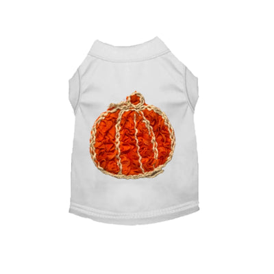 Chiffon Rose Halloween Pumpkin Shirt - Pets Perfect