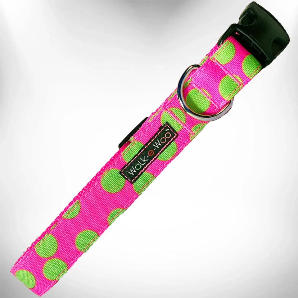 Polka Dot Dog - Neon Collars - Pets Perfect