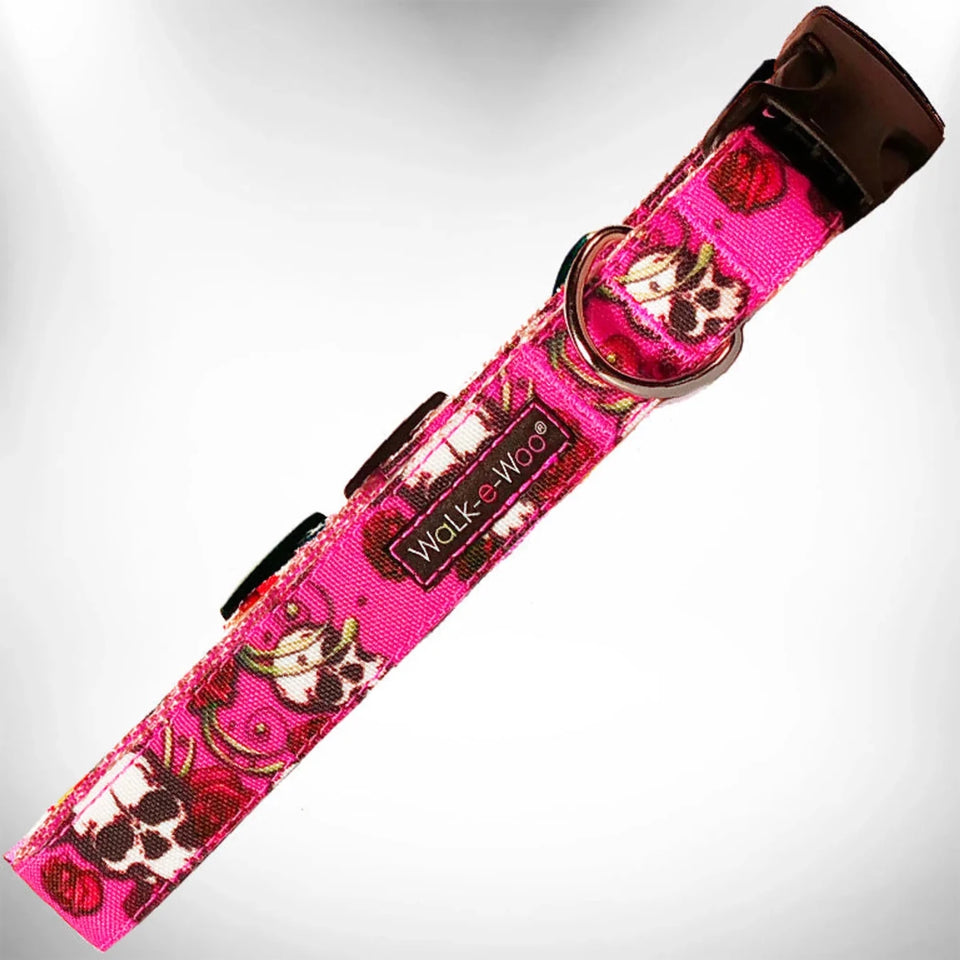 Tattoo Dog Collars - Pets Perfect