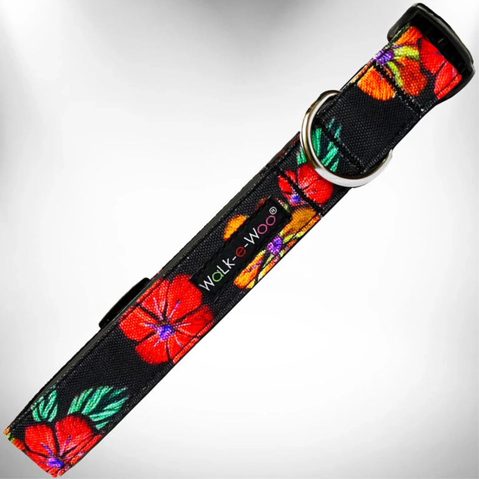 Nature-Lover Collars - Pets Perfect