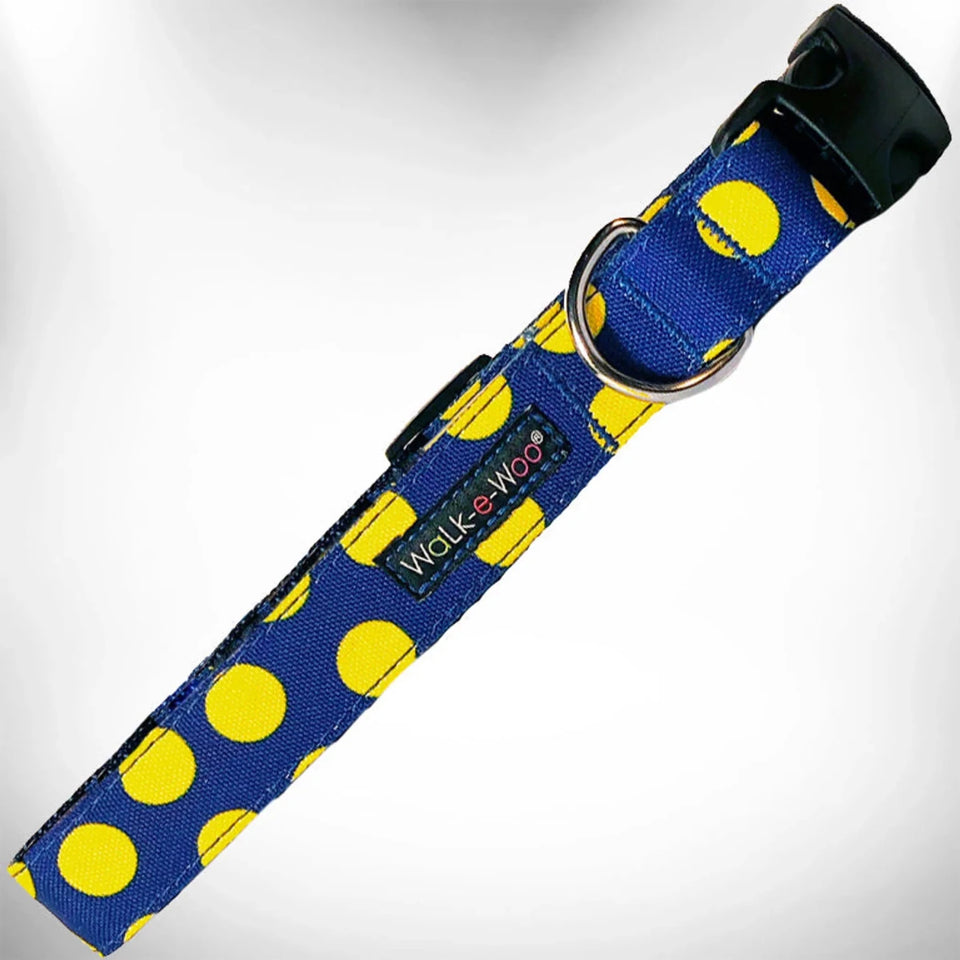 Polka Dot Dog - Neon Collars - Pets Perfect