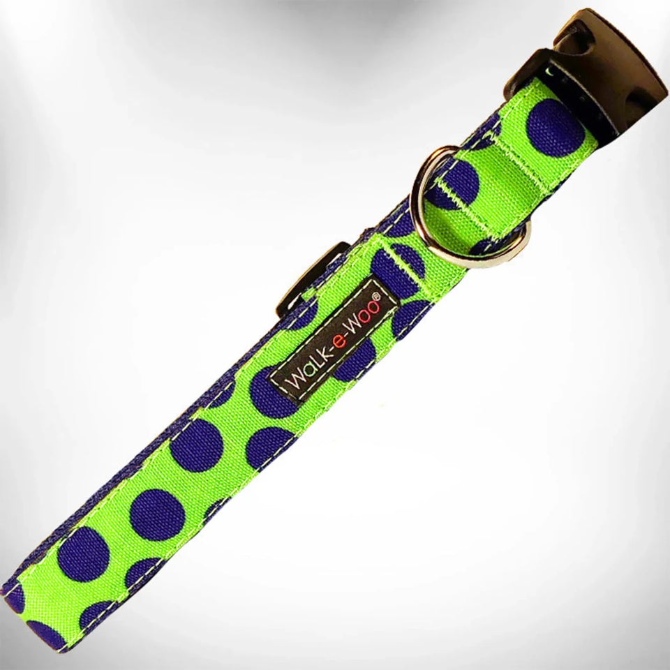 Polka Dot Dog - Neon Collars - Pets Perfect