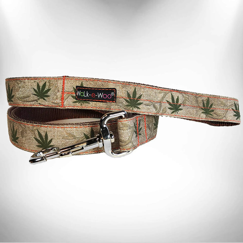 RaDog Leash, Rainbow pride/REGULAR 1" WIDTH- 5' LONG, view 12