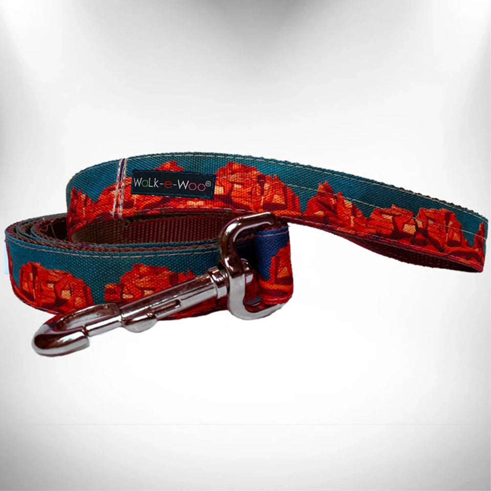 Walk-e-Woo Reversible Dog Bandana and Dog Leash - Athletic Fabric - Pets Perfect