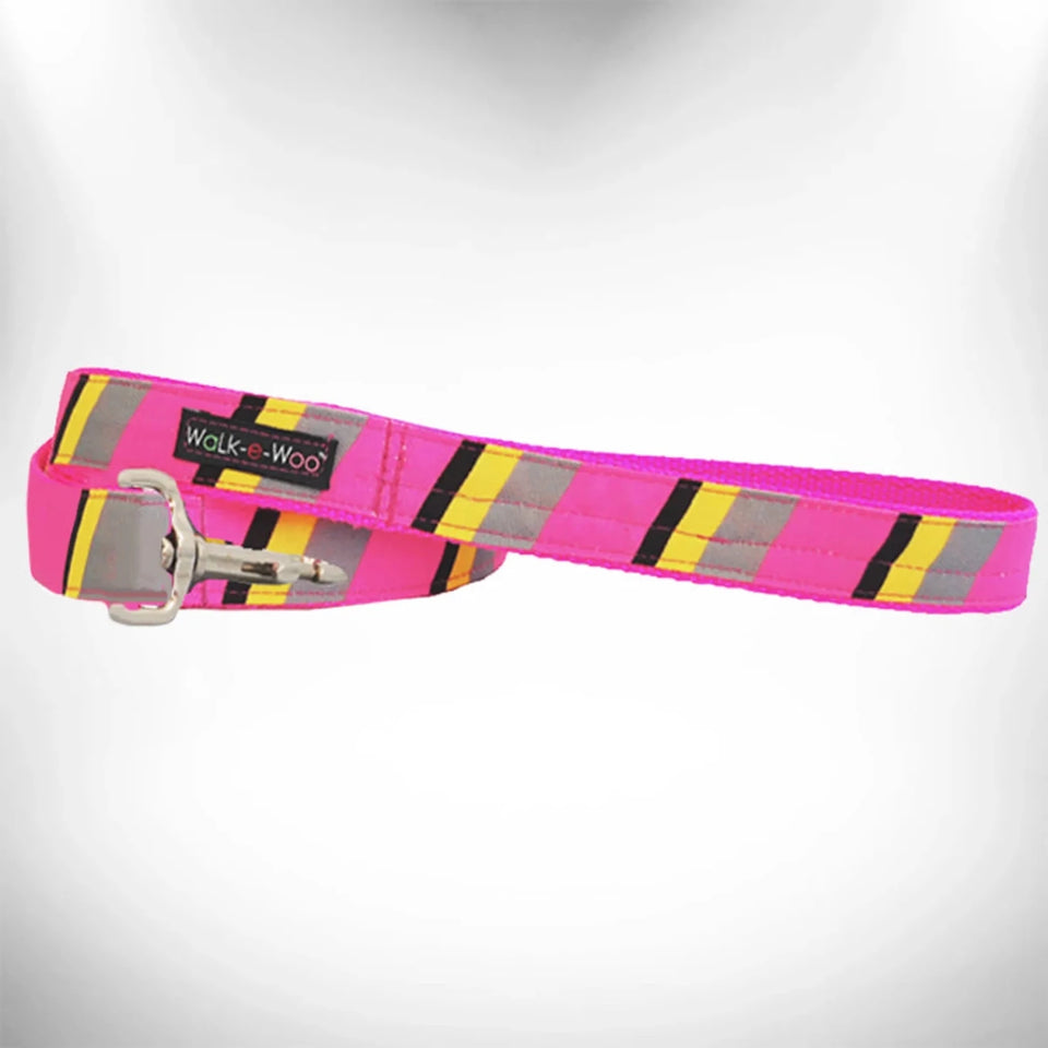 Stripes Dog Leash - Pets Perfect