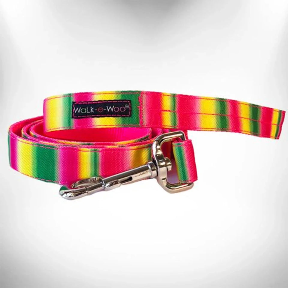 Tie Dye Dog Leads - Pets Perfect