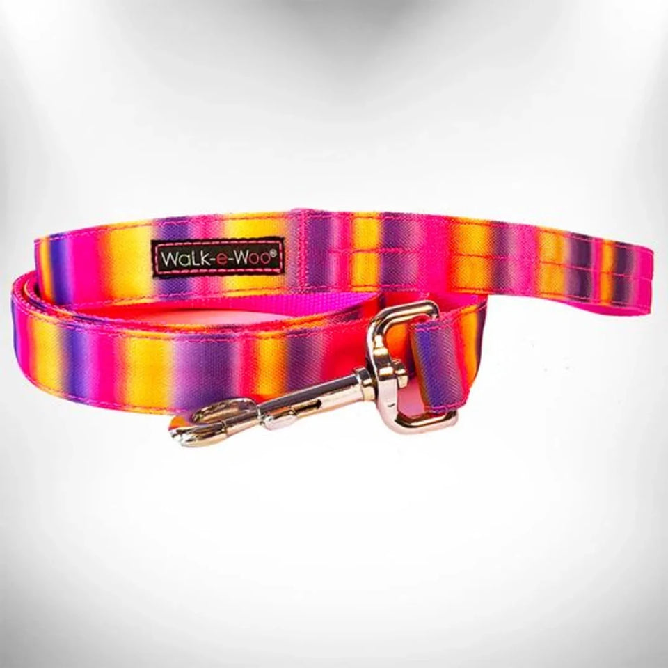 Tie Dye Dog Leads - Pets Perfect
