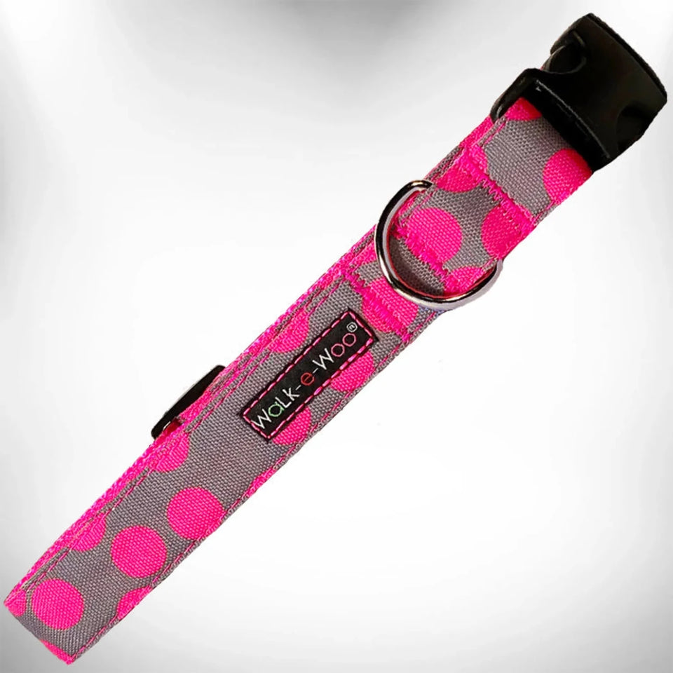 Polka Dot Dog - Neon Collars - Pets Perfect