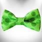 Polka Dot Dog - Monotone Bow Tie in bright green with large polka dots, stylish pet accessory from PetsPerfect.