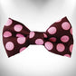 Walk-e-Woo Polka Dot Dog Bow Tie
