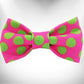 Walk-e-Woo Neon Polka Dot Dog Bow Tie - Bold, Bright & Built to Last