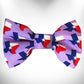 Colorado and Texas Dog Bow Tie - Walk-e-Woo State Pride Designer Dog Accessory