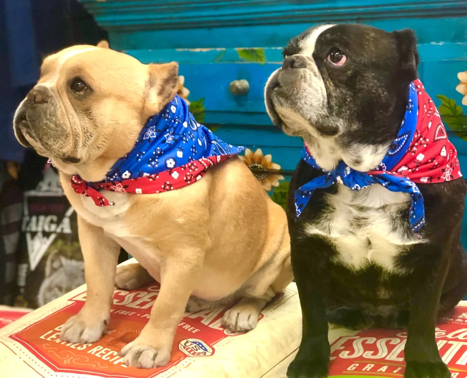 Walk-e-Woo Reversible Sport Dog Bandana - Athletic, Moisture-Wicking, Machine Washable - Pets Perfect