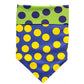 Reversible Sport Bandanas for Dogs