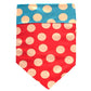 Reversible Sport Bandanas for Dogs