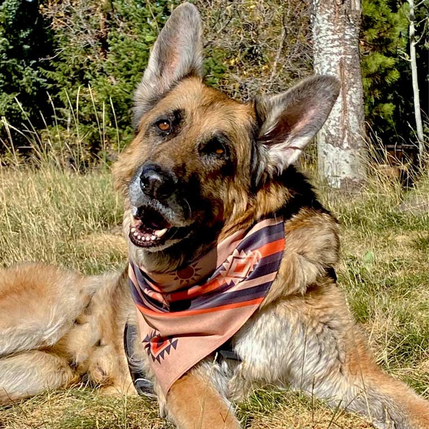 Walk-e-Woo Reversible Dog Bandana and Leash - Athletic Fabric