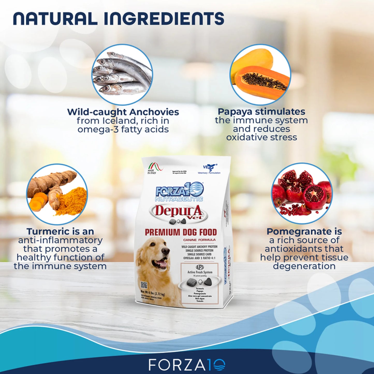 Forza10 Active Depura Fish Diet Dry Dog Food with wild anchovies, papaya, turmeric, and pomegranate natural ingredients.