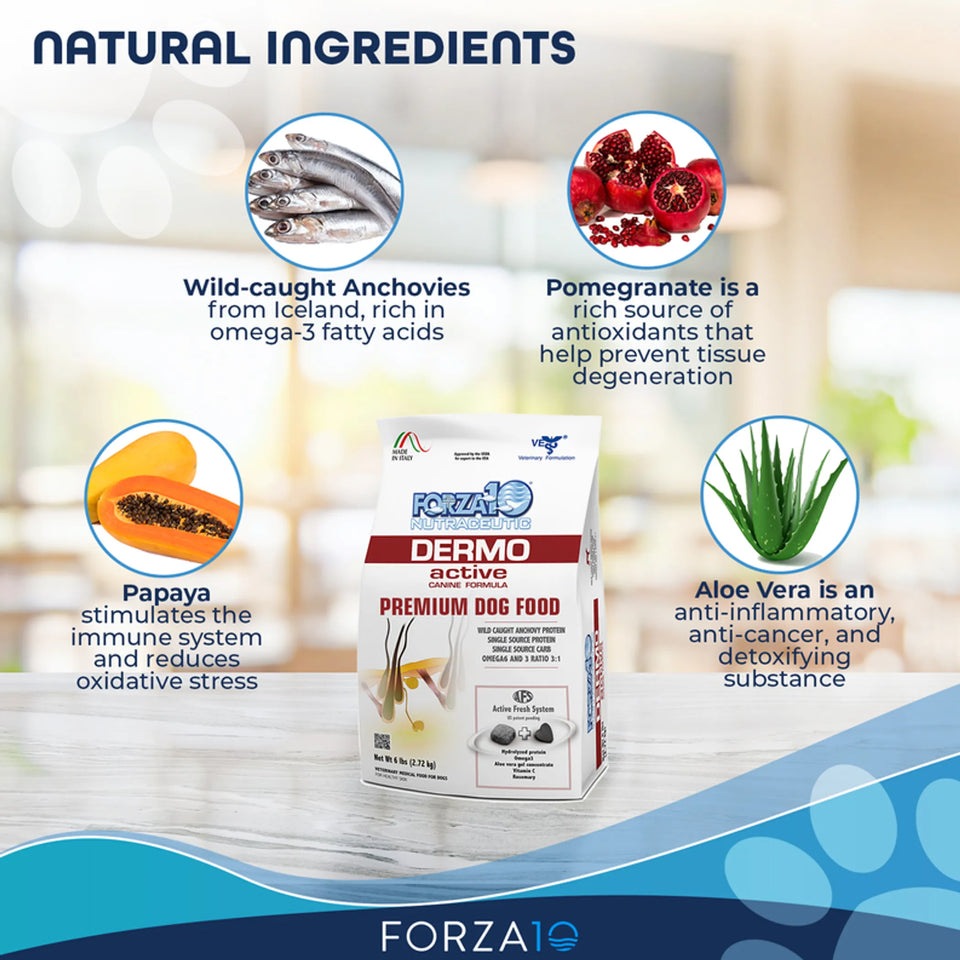 Forza10 Active Dermo Dry Dog Food, view 6