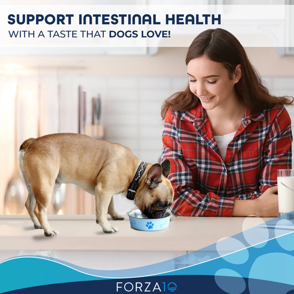 Forza10 Active Intestinal Support Diet Dry Dog Food, view 5