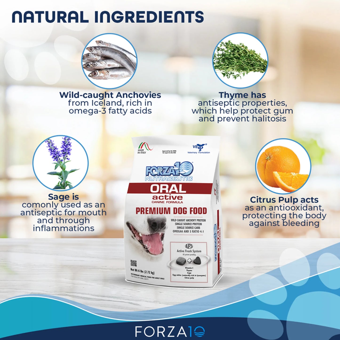 Forza10 Active Oral Support Dry Dog Food - Wild-Caught Anchovy Formula for Dental Health