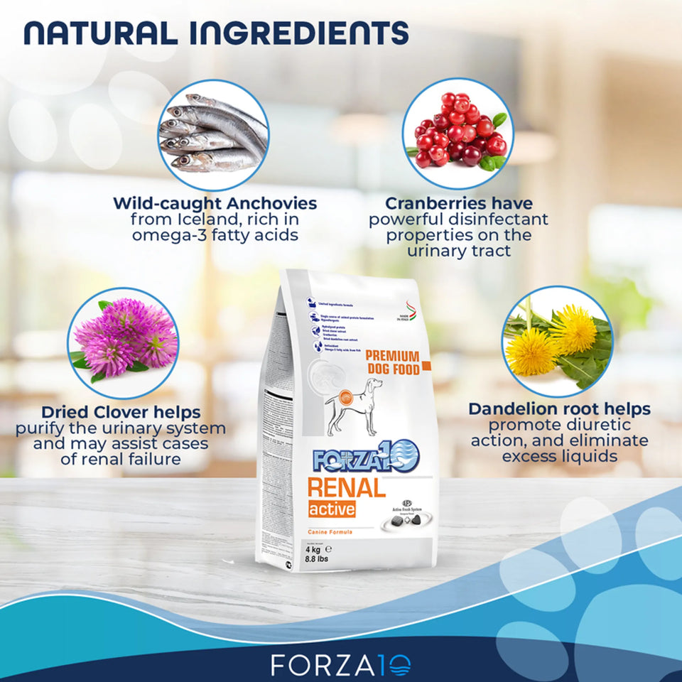 Forza10 Active Kidney Renal Support Diet Dry Dog Food, view 5