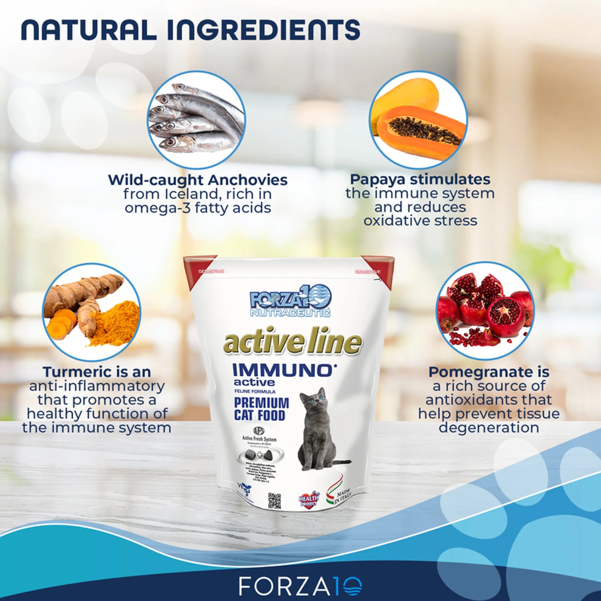 Forza10 Active Immuno Support Diet Dry Cat Food with natural ingredients supporting immune health and antioxidant protection.