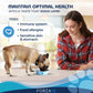 Forza10 Actiwet Hypoallergenic Canned Dog Food supports immune system, food allergies, and sensitive skin and stomach.