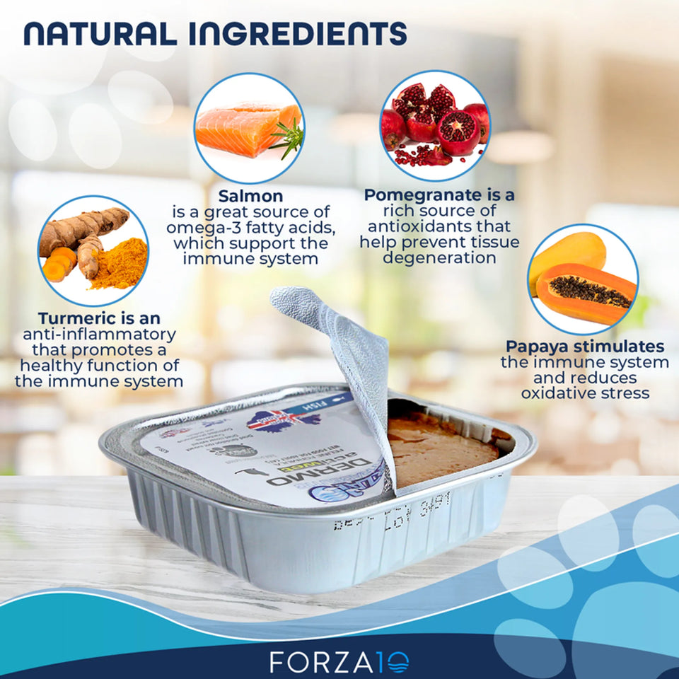Forza10 ActiWet Dermo Support Icelandic Fish Recipe Canned Cat Food, view 5