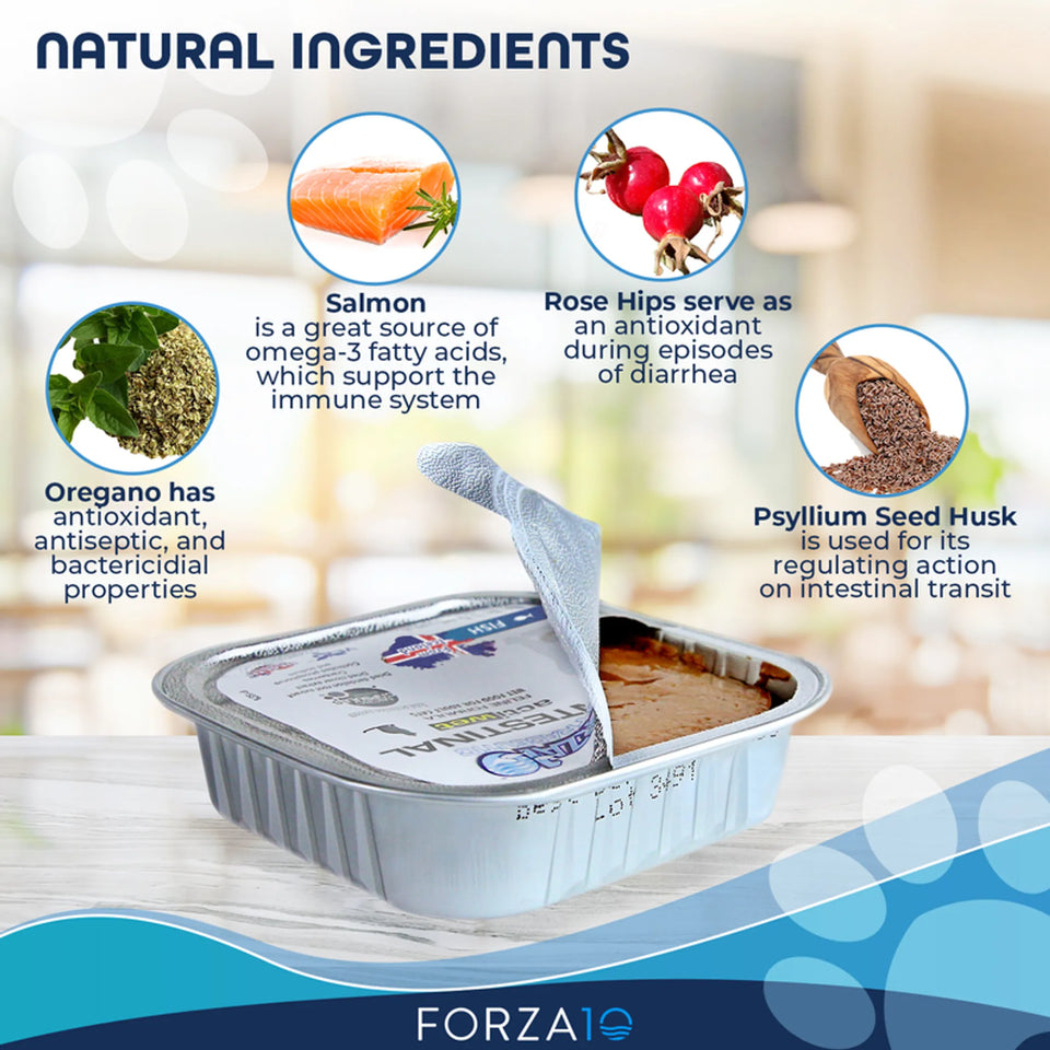 Forza10 Actiwet Intestinal Support Icelandic Fish Recipe Canned Cat, view 5