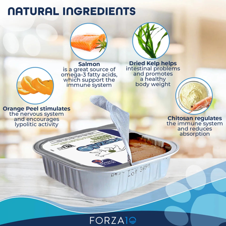 Forza10 ActiWet Diabetic Support Icelandic Fish Recipe Canned Cat Food - Pets Perfect
